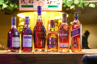 105秒極速酒吧體驗記 在成都偶遇蕭敬騰的“酒”夜