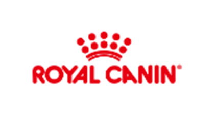 上海唐能翻譯公司 專業翻譯服務，助您跨越語言障礙